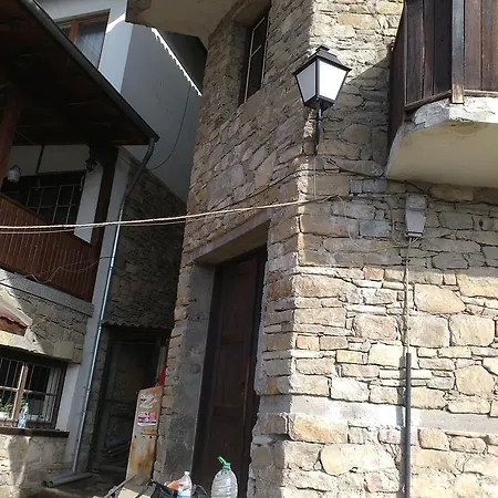 Homeshotel Guest house *