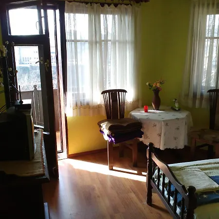 Homeshotel Guest house *